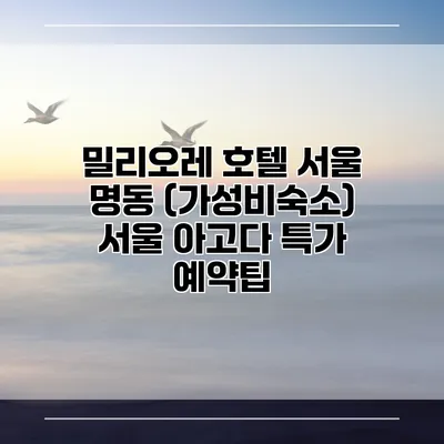 밀리오레 호텔 서울 명동 (가성비숙소) 서울 아고다 특가 예약팁