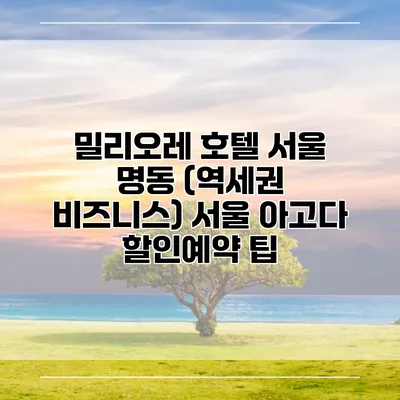 밀리오레 호텔 서울 명동 (역세권 비즈니스) 서울 아고다 할인예약 팁