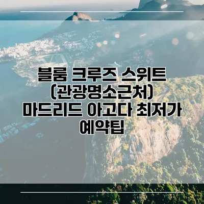 블룸 크루즈 스위트 (관광명소근처) 마드리드 아고다 최저가 예약팁