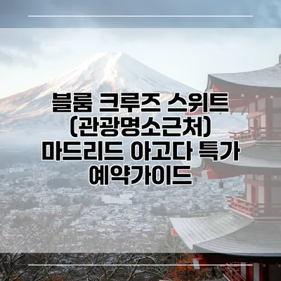 블룸 크루즈 스위트 (관광명소근처) 마드리드 아고다 특가 예약가이드