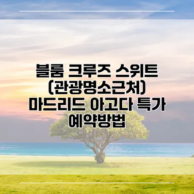 블룸 크루즈 스위트 (관광명소근처) 마드리드 아고다 특가 예약방법