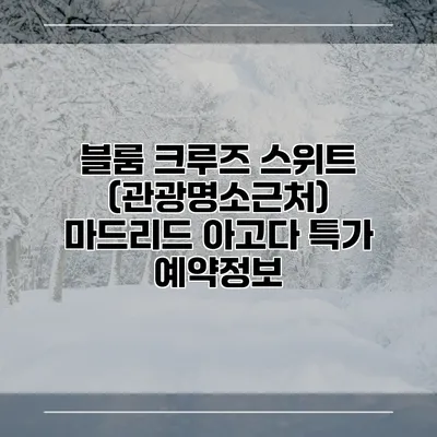 블룸 크루즈 스위트 (관광명소근처) 마드리드 아고다 특가 예약정보