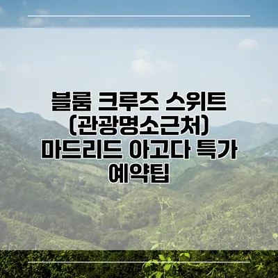 블룸 크루즈 스위트 (관광명소근처) 마드리드 아고다 특가 예약팁
