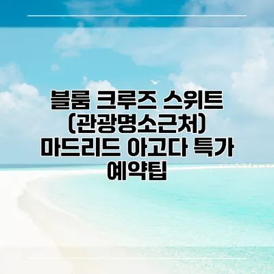 블룸 크루즈 스위트 (관광명소근처) 마드리드 아고다 특가 예약팁