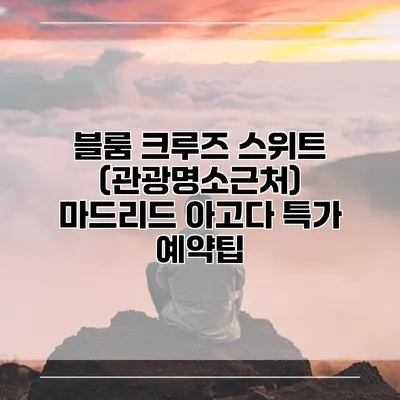 블룸 크루즈 스위트 (관광명소근처) 마드리드 아고다 특가 예약팁