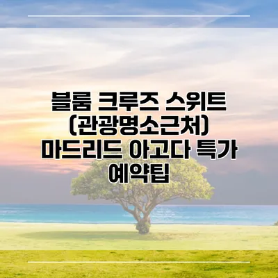 블룸 크루즈 스위트 (관광명소근처) 마드리드 아고다 특가 예약팁