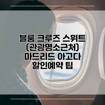 블룸 크루즈 스위트 (관광명소근처) 마드리드 아고다 할인예약 팁
