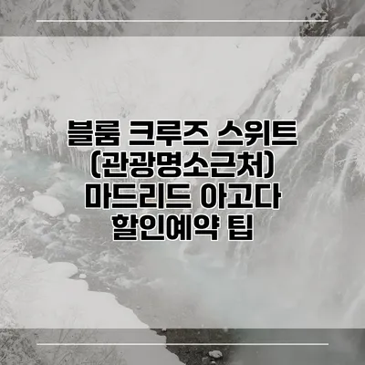 블룸 크루즈 스위트 (관광명소근처) 마드리드 아고다 할인예약 팁