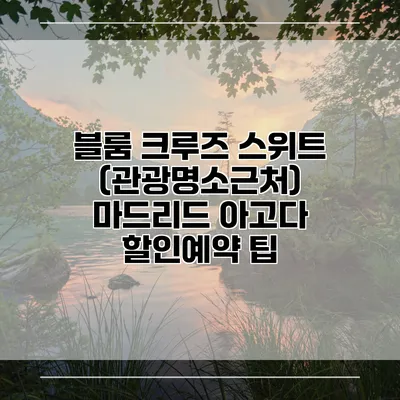 블룸 크루즈 스위트 (관광명소근처) 마드리드 아고다 할인예약 팁