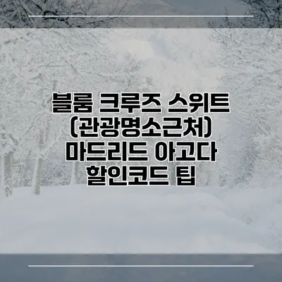 블룸 크루즈 스위트 (관광명소근처) 마드리드 아고다 할인코드 팁