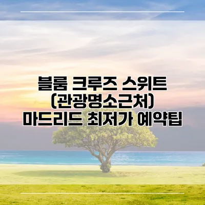 블룸 크루즈 스위트 (관광명소근처) 마드리드 최저가 예약팁