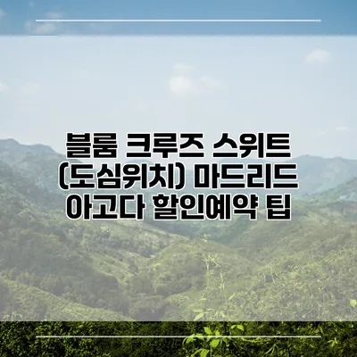 블룸 크루즈 스위트 (도심위치) 마드리드 아고다 할인예약 팁