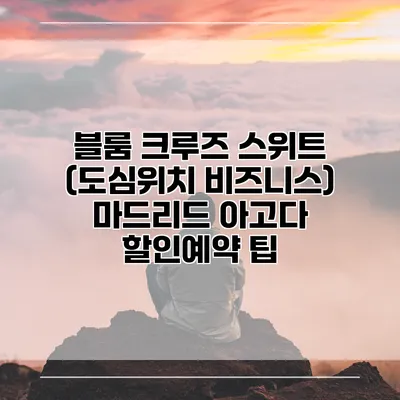 블룸 크루즈 스위트 (도심위치 비즈니스) 마드리드 아고다 할인예약 팁