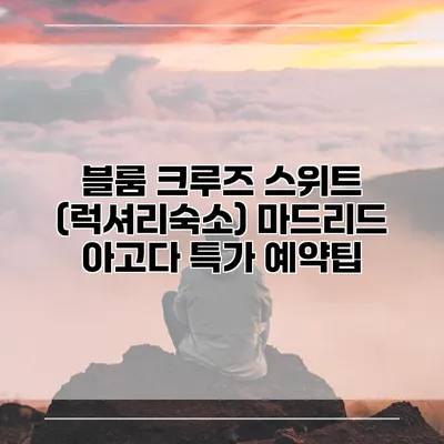 블룸 크루즈 스위트 (럭셔리숙소) 마드리드 아고다 특가 예약팁