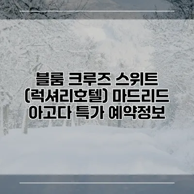 블룸 크루즈 스위트 (럭셔리호텔) 마드리드 아고다 특가 예약정보