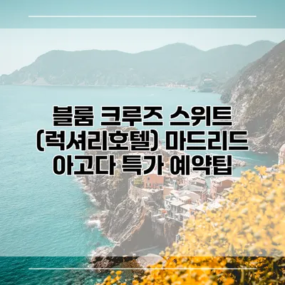 블룸 크루즈 스위트 (럭셔리호텔) 마드리드 아고다 특가 예약팁