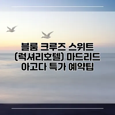 블룸 크루즈 스위트 (럭셔리호텔) 마드리드 아고다 특가 예약팁