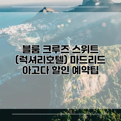 블룸 크루즈 스위트 (럭셔리호텔) 마드리드 아고다 할인 예약팁