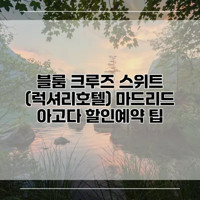 블룸 크루즈 스위트 (럭셔리호텔) 마드리드 아고다 할인예약 팁