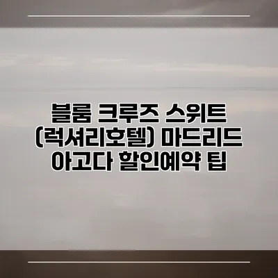 블룸 크루즈 스위트 (럭셔리호텔) 마드리드 아고다 할인예약 팁