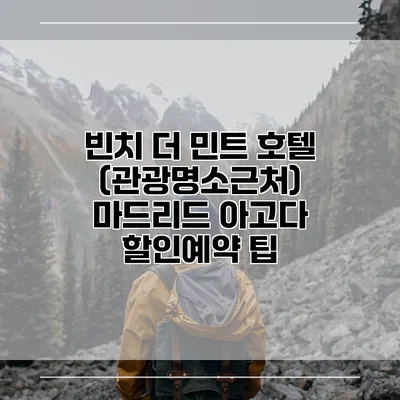 빈치 더 민트 호텔 (관광명소근처) 마드리드 아고다 할인예약 팁