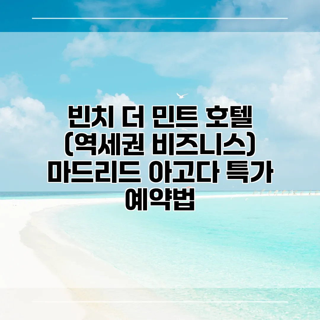 빈치 더 민트 호텔 (역세권 비즈니스) 마드리드 아고다 특가 예약법