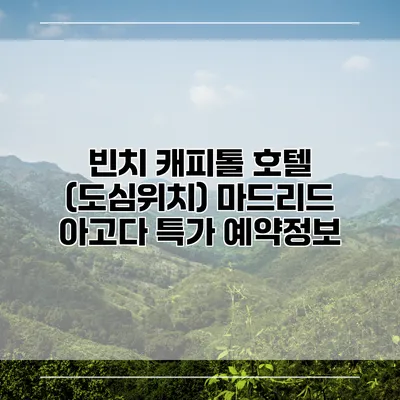 빈치 캐피톨 호텔 (도심위치) 마드리드 아고다 특가 예약정보