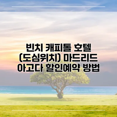 빈치 캐피톨 호텔 (도심위치) 마드리드 아고다 할인예약 방법