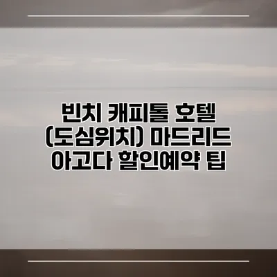 빈치 캐피톨 호텔 (도심위치) 마드리드 아고다 할인예약 팁