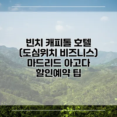 빈치 캐피톨 호텔 (도심위치 비즈니스) 마드리드 아고다 할인예약 팁