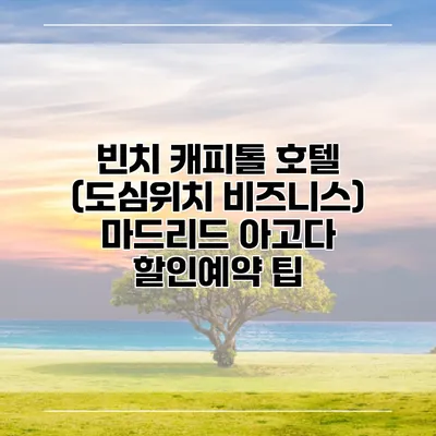 빈치 캐피톨 호텔 (도심위치 비즈니스) 마드리드 아고다 할인예약 팁