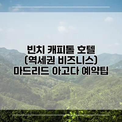 빈치 캐피톨 호텔 (역세권 비즈니스) 마드리드 아고다 예약팁