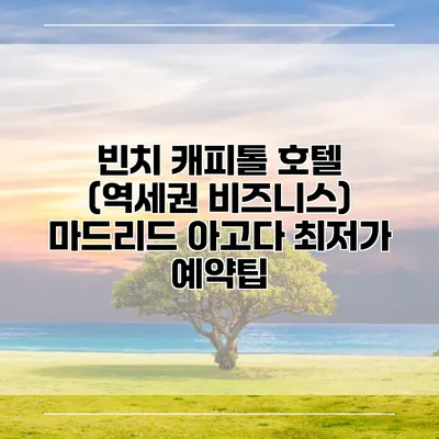 빈치 캐피톨 호텔 (역세권 비즈니스) 마드리드 아고다 최저가 예약팁