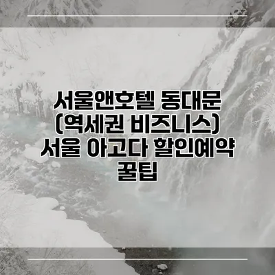 서울앤호텔 동대문 (역세권 비즈니스) 서울 아고다 할인예약 꿀팁