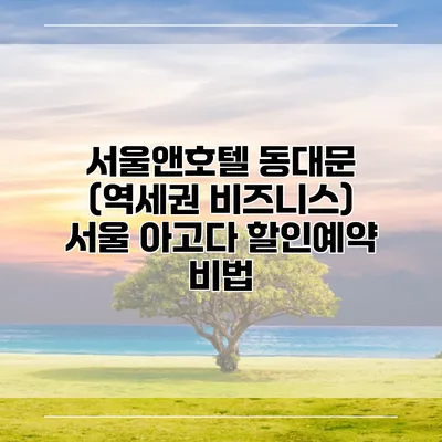 서울앤호텔 동대문 (역세권 비즈니스) 서울 아고다 할인예약 비법