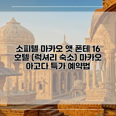 소피텔 마카오 앳 폰테 16 호텔 (럭셔리 숙소) 마카오 아고다 특가 예약법