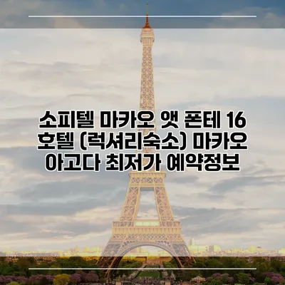 소피텔 마카오 앳 폰테 16 호텔 (럭셔리숙소) 마카오 아고다 최저가 예약정보