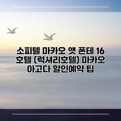 소피텔 마카오 앳 폰테 16 호텔 (럭셔리호텔) 마카오 아고다 할인예약 팁