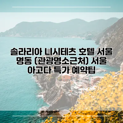 솔라리아 니시테츠 호텔 서울 명동 (관광명소근처) 서울 아고다 특가 예약팁