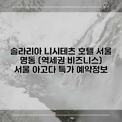 솔라리아 니시테츠 호텔 서울 명동 (역세권 비즈니스) 서울 아고다 특가 예약정보