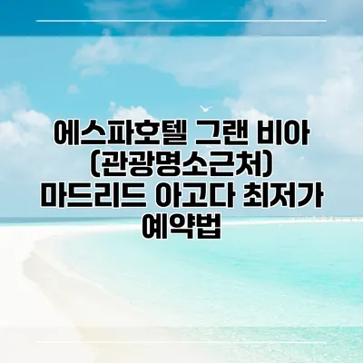 에스파호텔 그랜 비아 (관광명소근처) 마드리드 아고다 최저가 예약법