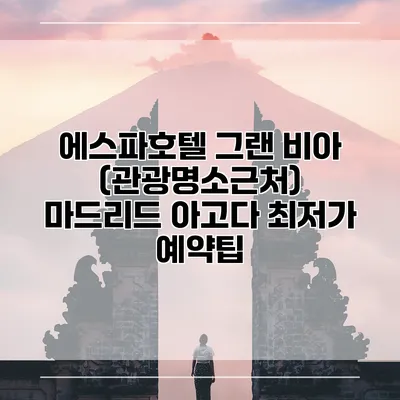 에스파호텔 그랜 비아 (관광명소근처) 마드리드 아고다 최저가 예약팁
