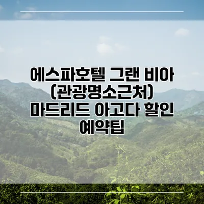에스파호텔 그랜 비아 (관광명소근처) 마드리드 아고다 할인 예약팁