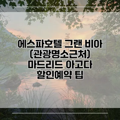 에스파호텔 그랜 비아 (관광명소근처) 마드리드 아고다 할인예약 팁