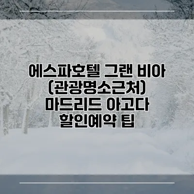 에스파호텔 그랜 비아 (관광명소근처) 마드리드 아고다 할인예약 팁