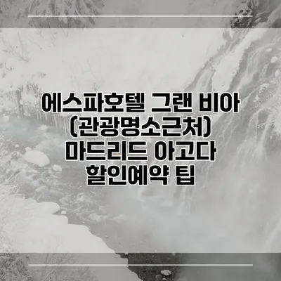 에스파호텔 그랜 비아 (관광명소근처) 마드리드 아고다 할인예약 팁