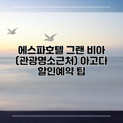 에스파호텔 그랜 비아 (관광명소근처) 아고다 할인예약 팁