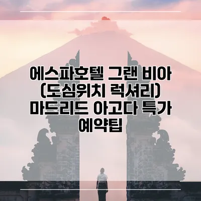 에스파호텔 그랜 비아 (도심위치 럭셔리) 마드리드 아고다 특가 예약팁