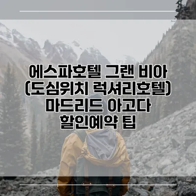 에스파호텔 그랜 비아 (도심위치 럭셔리호텔) 마드리드 아고다 할인예약 팁