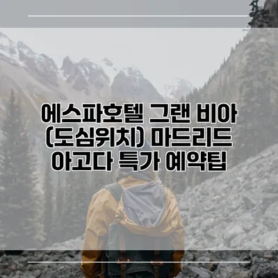 에스파호텔 그랜 비아 (도심위치) 마드리드 아고다 특가 예약팁